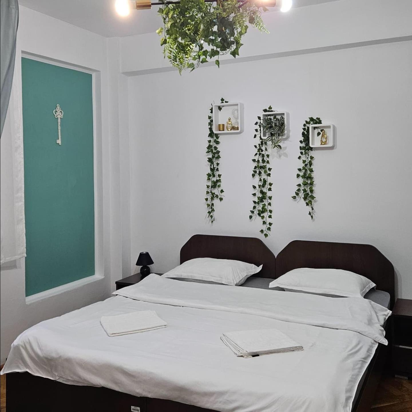 Apartment Zarnesti City Centre Vmp Free Parking Εξωτερικό φωτογραφία