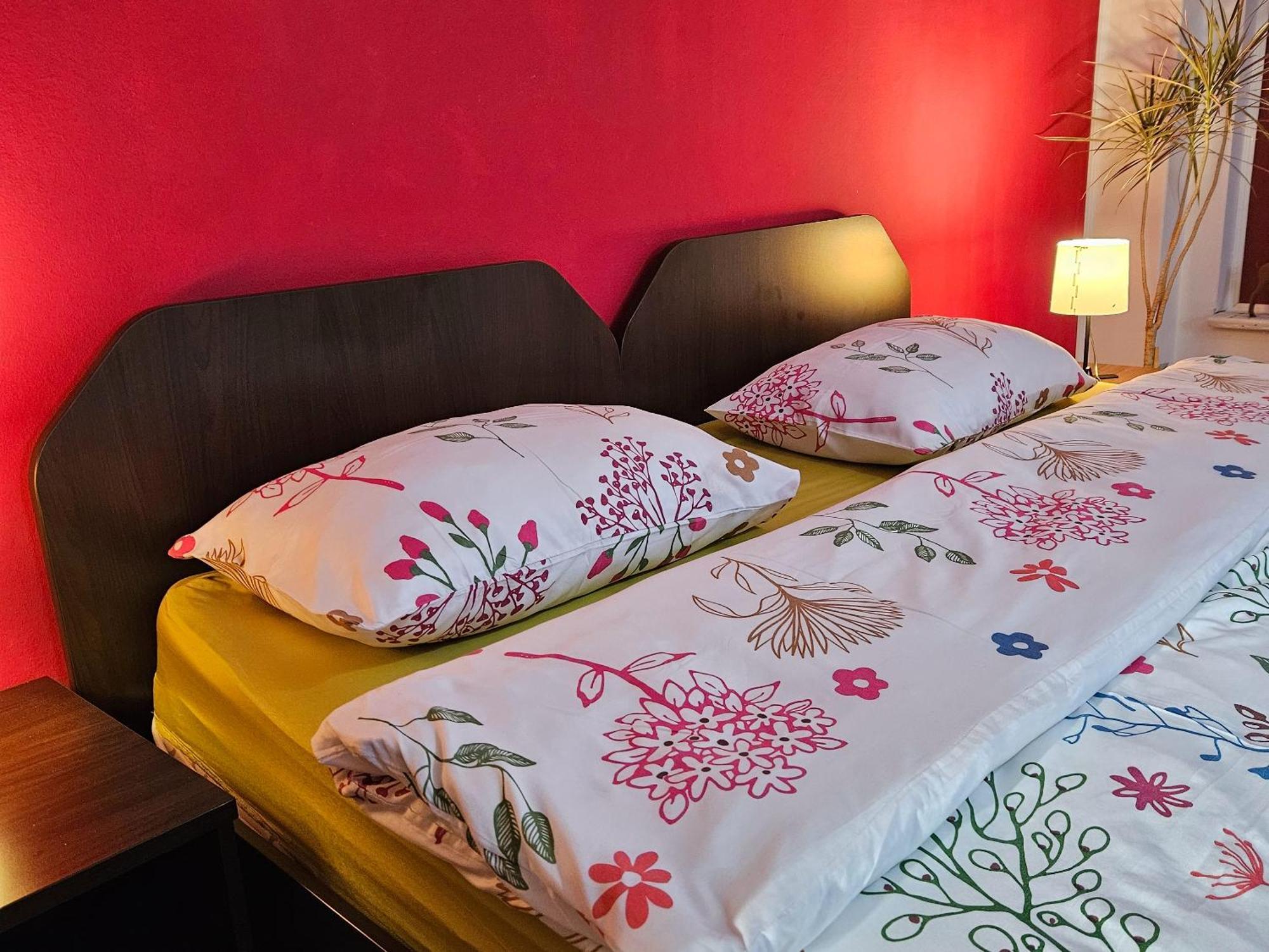 Apartment Zarnesti City Centre Vmp Free Parking Εξωτερικό φωτογραφία