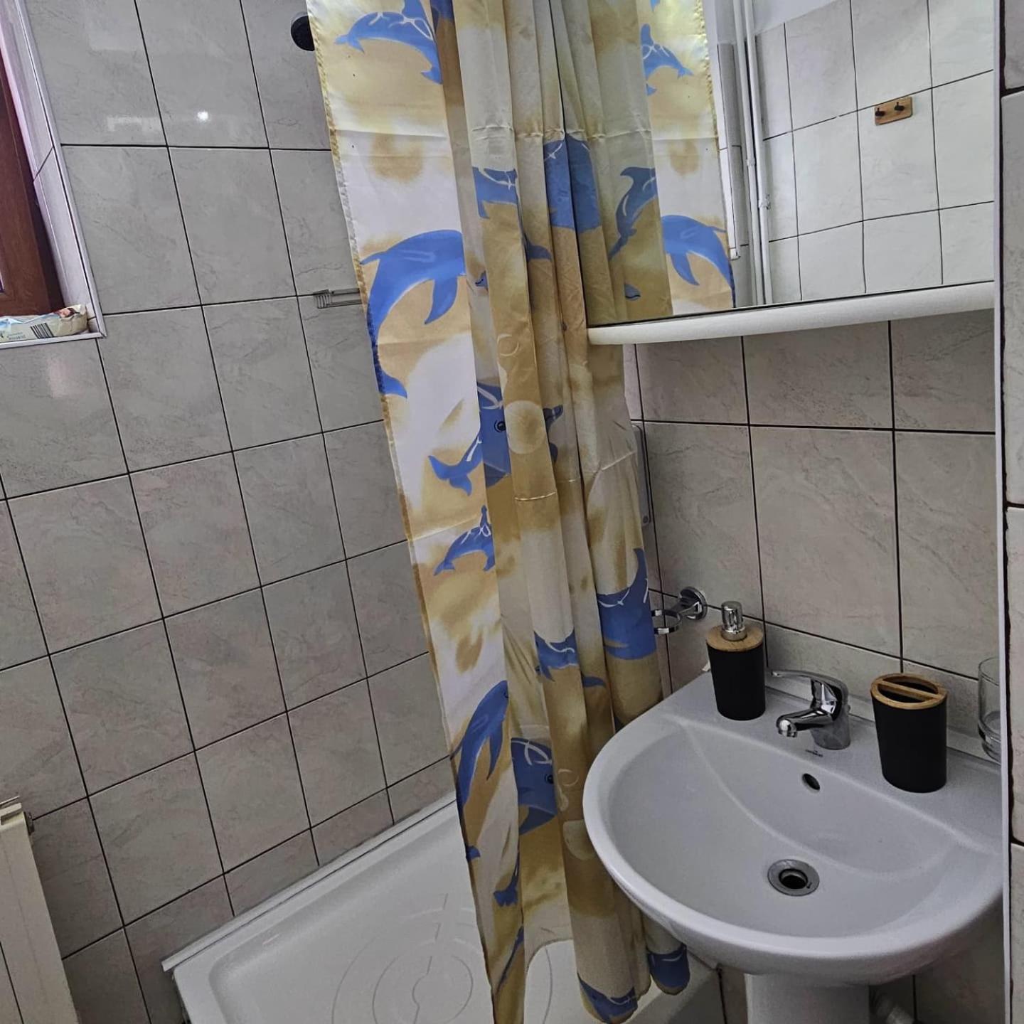 Apartment Zarnesti City Centre Vmp Free Parking Δωμάτιο φωτογραφία