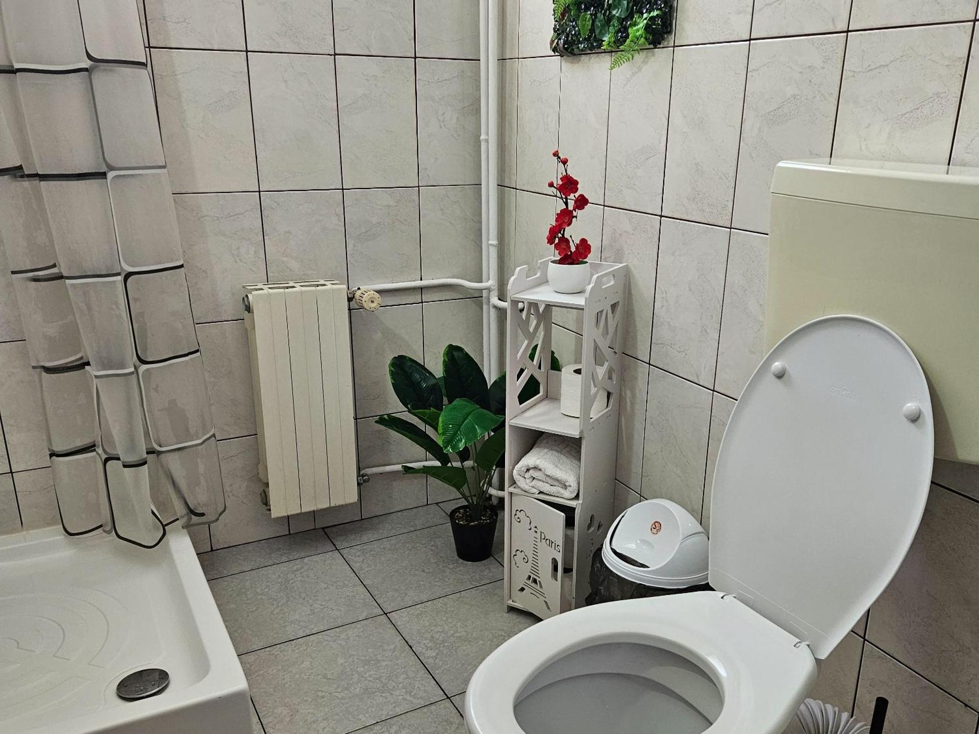 Apartment Zarnesti City Centre Vmp Free Parking Δωμάτιο φωτογραφία