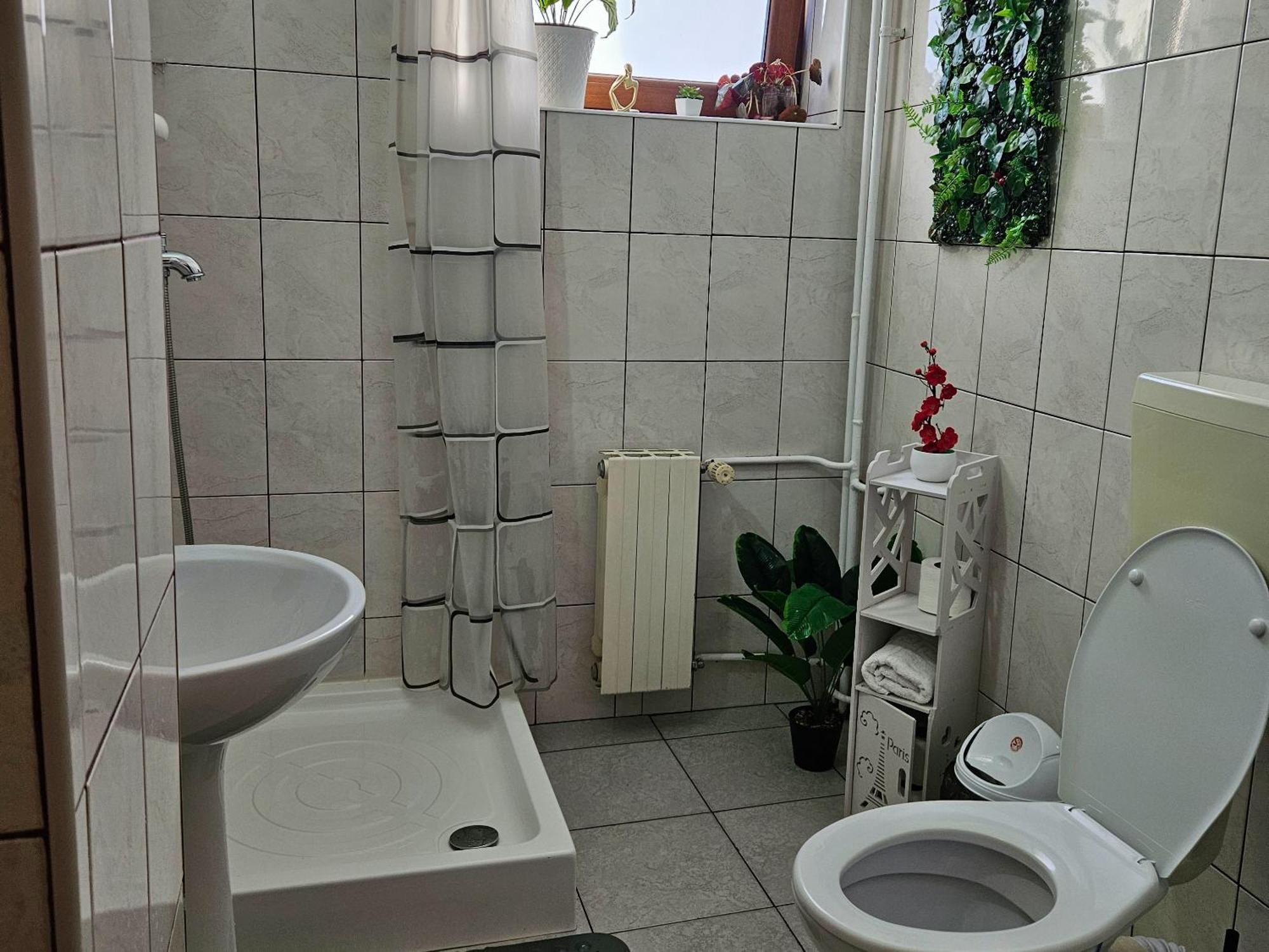 Apartment Zarnesti City Centre Vmp Free Parking Εξωτερικό φωτογραφία